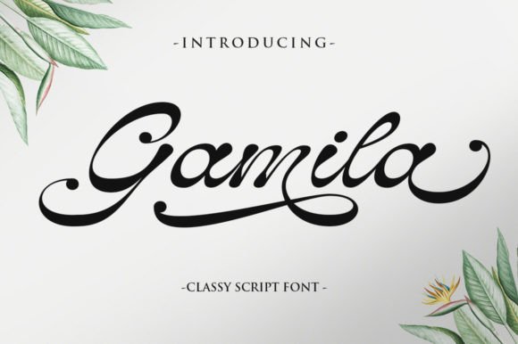 Enhance Your Editorial Design with Gamila Font