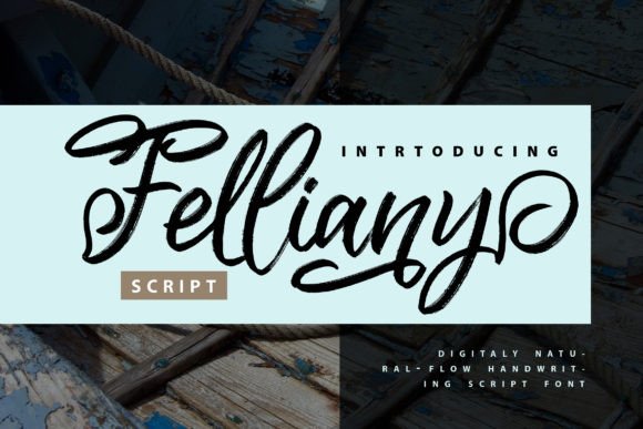 Felliany: A Modern Script Font for Eye-Catching Campaigns