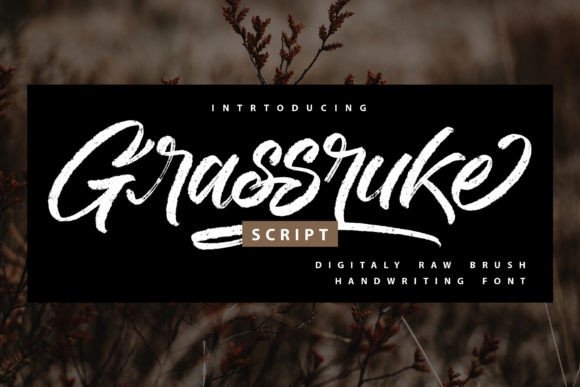 Grassruke: A Bold Script Font for Modern Web Design
