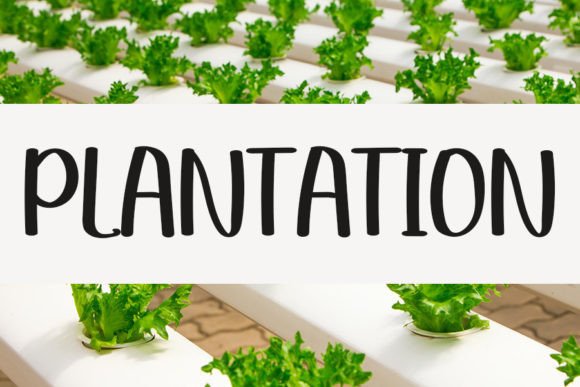 Plantation: A Perfect Handwritten Font for Crafters