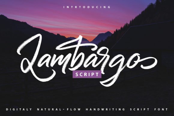 Transform Your Brand with Lambargo: A Premium Script Font
